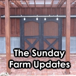 sunday farm updates