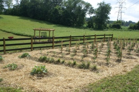 We use only straw, leaf and compost mulch in the garden