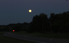 A crystal clear, full moon night at the farm on Friday and Saturday dropped temps into the low 30's