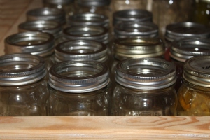 There are a lot of empty jars on the canning pantry shelves this time of year needing filled back up!