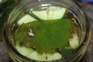 Add a half of a grape leaf to the top of the jar for crisp pickles. 