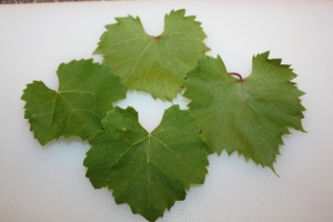 Grape leaves from our vineyard will be used to make our pickles crisp. 