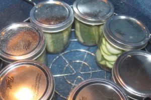 Pickles can be made by using the water bath method - be sure to follow a specific recipe 